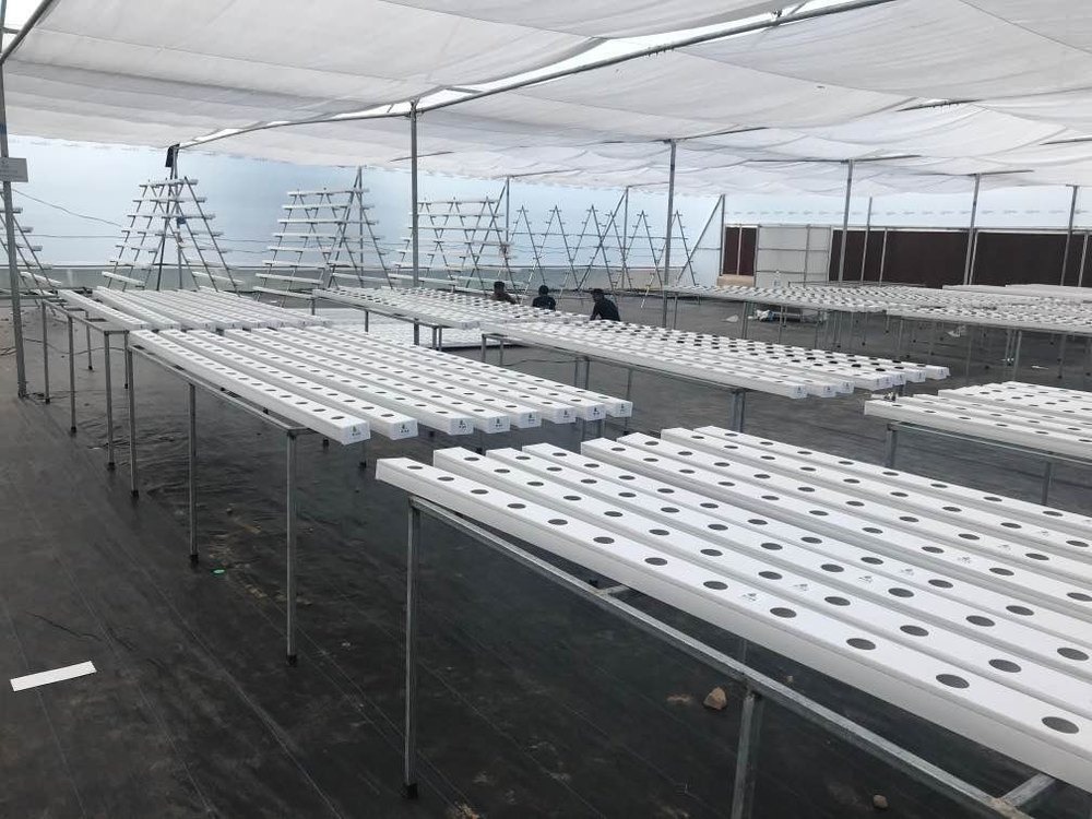 Hydroponic Farm Setup 1