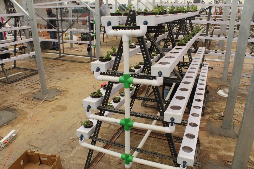 Hydroponic Farm Setup 3