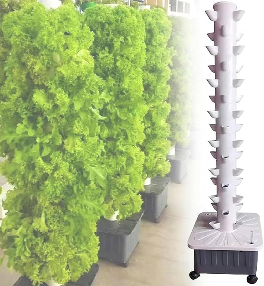Hydroponic Farm Setup 4