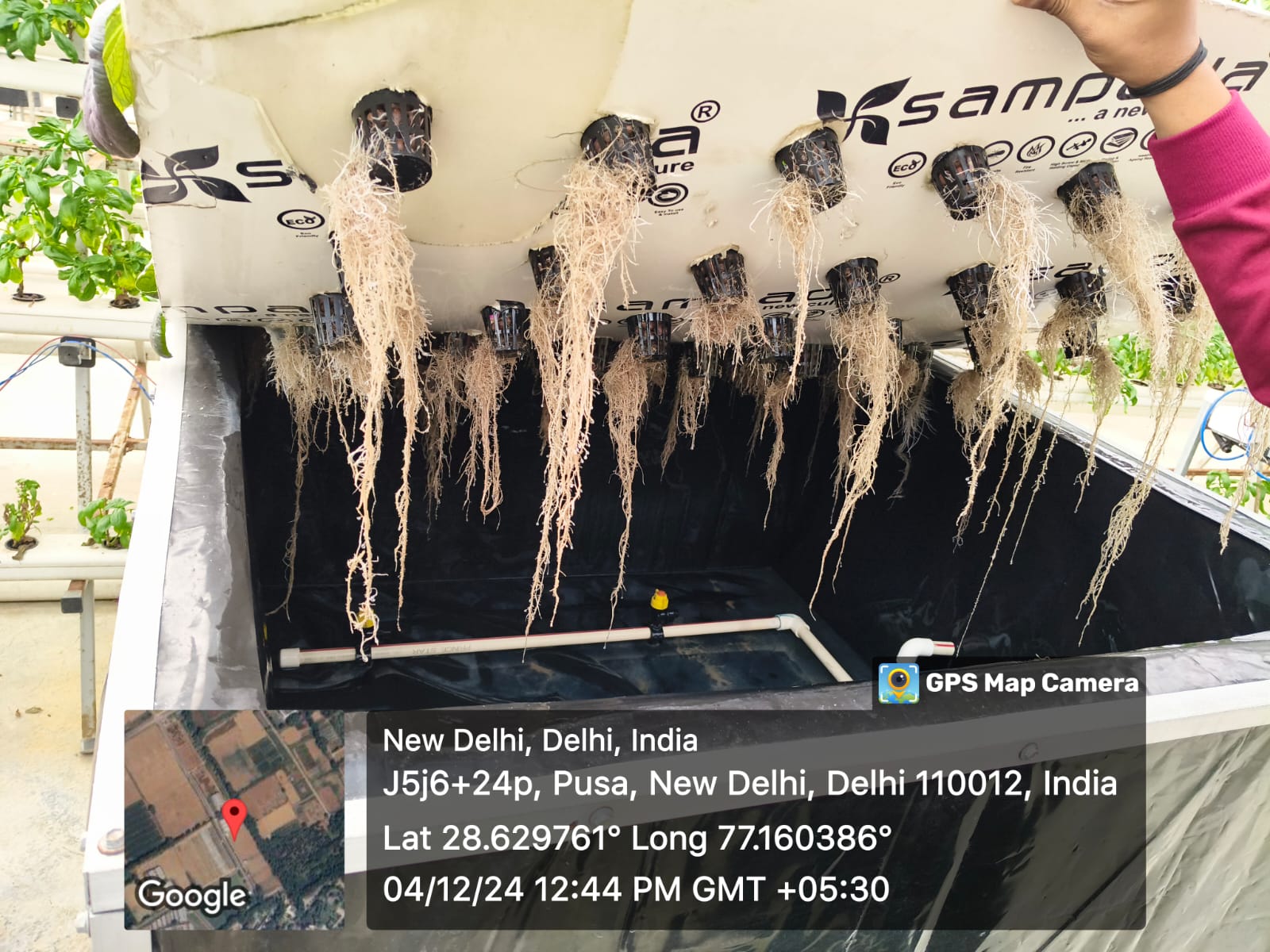 Hydroponic Farming 1