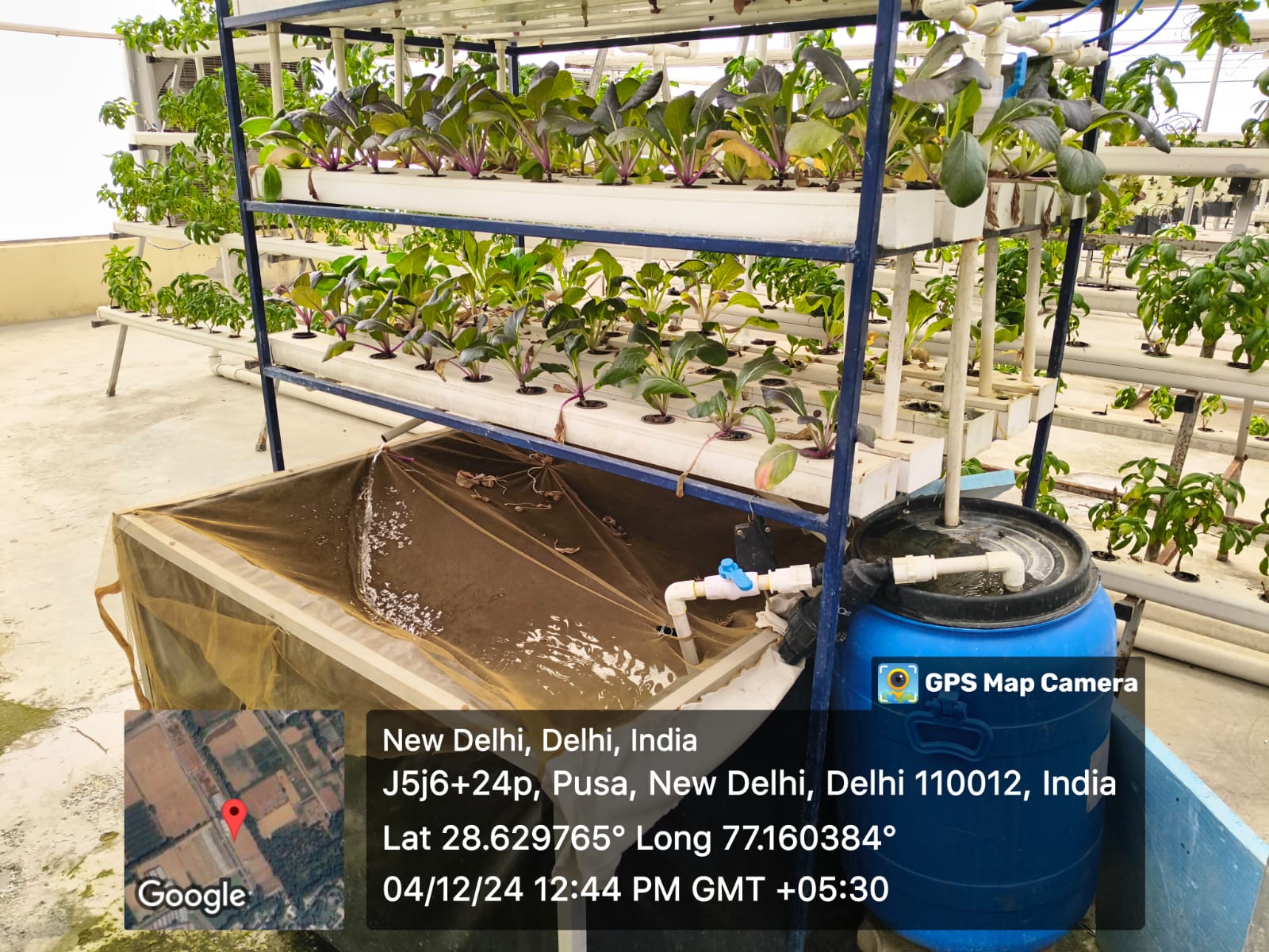 Hydroponic Farming 2