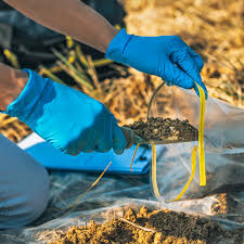 Soil Sample Collection 1