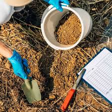 Soil Sample Collection 2