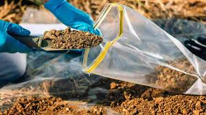 Soil Sample Collection 3