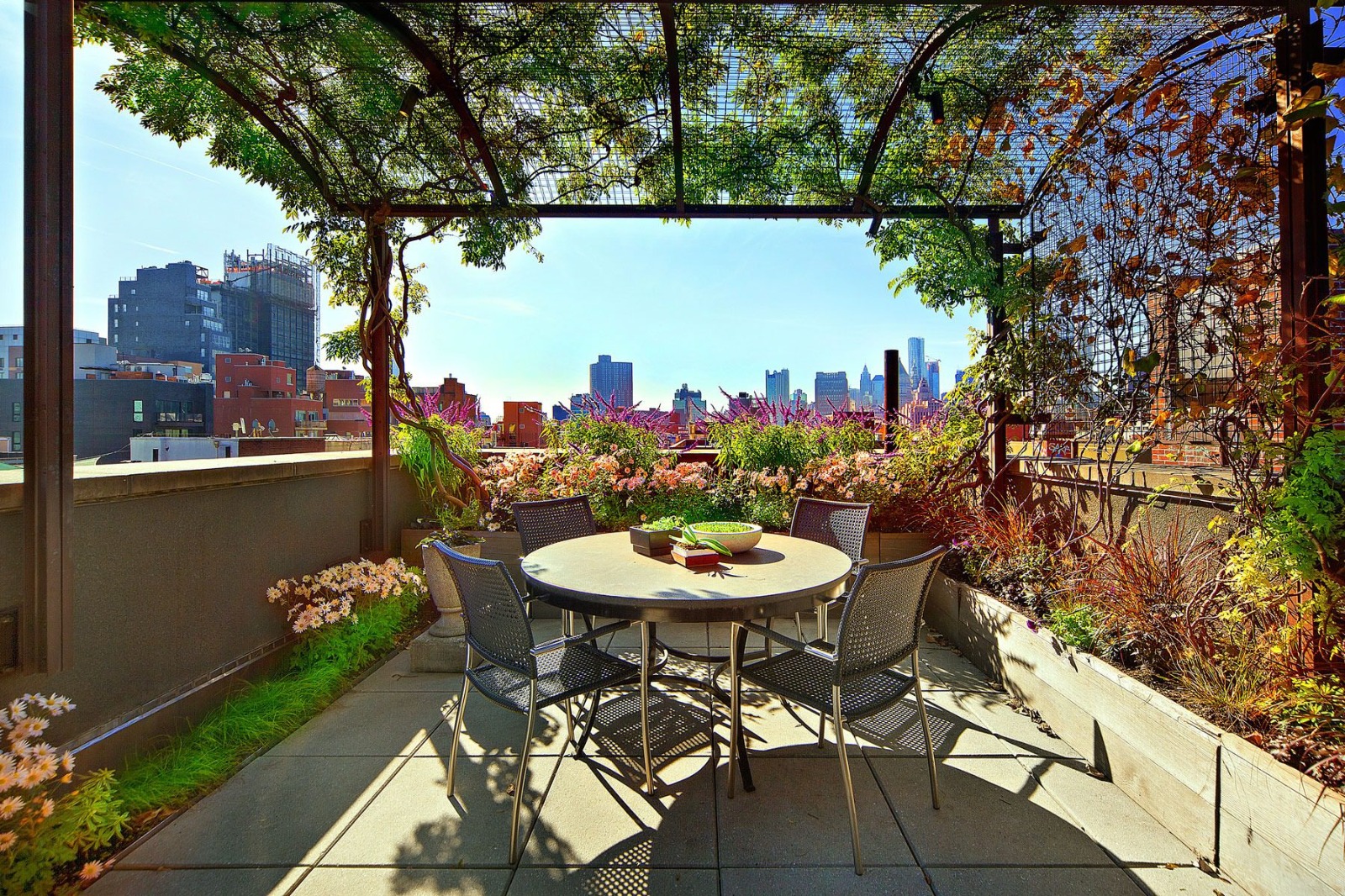 Rooftop / Terrace Gardening 3