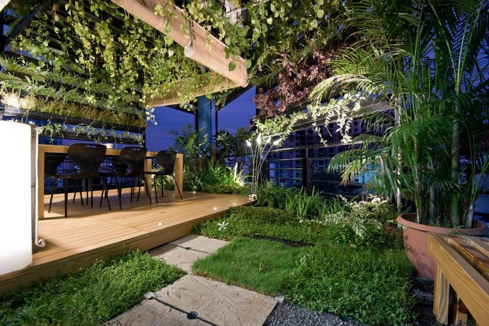 Rooftop / Terrace Gardening 6