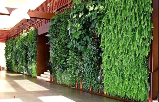 Vertical Gardening 2