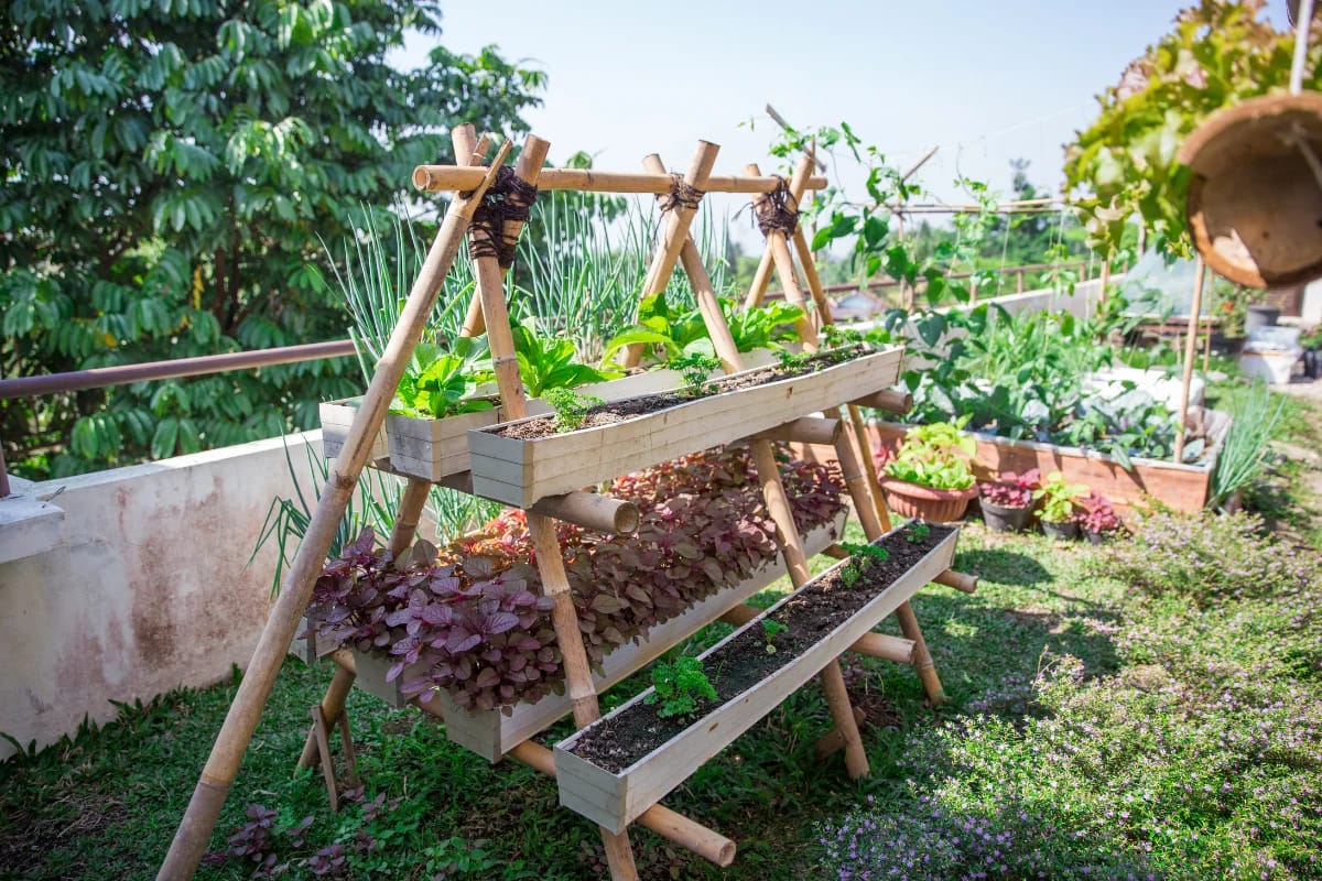 Vertical Gardening 4