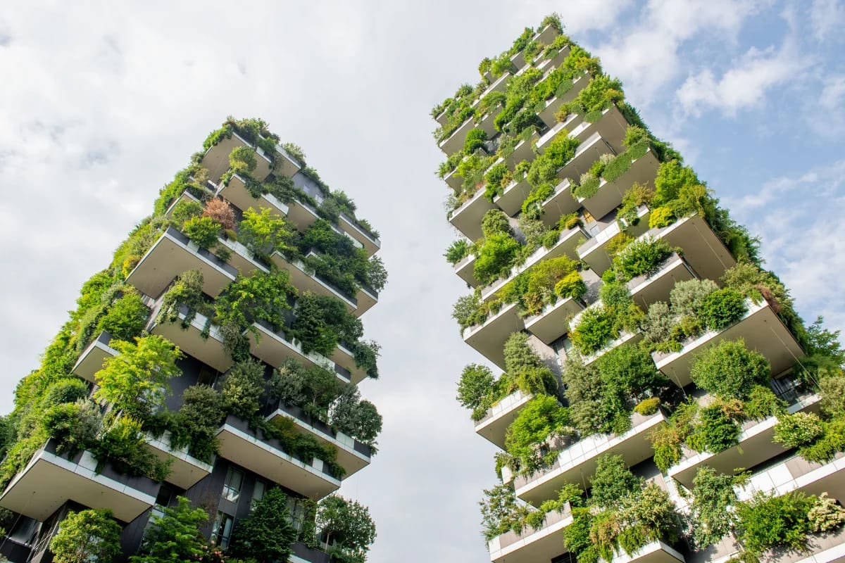 Vertical Gardening 5